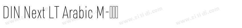 DIN Next LT Arabic M字体转换